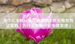 为什么手机一充电就发烫手机充电发热正常吗「为什么手机一充电就发烫」
