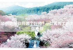 项目管理软件哪个好用？10款优秀工具为你推荐