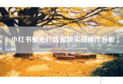 小红书聚光广告投放实战操作分析