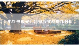小红书聚光广告投放实战操作分析