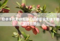 安卓手机影音先锋（安卓影音先锋下载文件在哪）