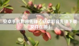 安卓手机影音先锋（安卓影音先锋下载文件在哪）