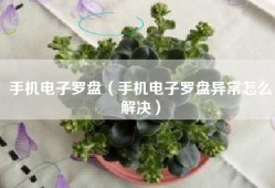 手机电子罗盘（手机电子罗盘异常怎么解决）