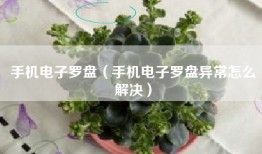 手机电子罗盘（手机电子罗盘异常怎么解决）