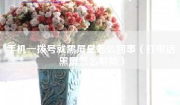 手机一拨号就黑屏是怎么回事（打电话黑屏怎么解除）