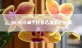 SEO关键词优化首选服务商推荐