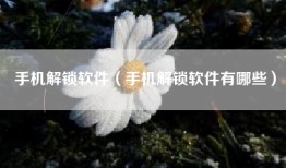 手机解锁软件（手机解锁软件有哪些）