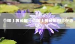荣耀手机截屏（荣耀手机截屏图片在哪里）