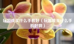 玩游戏买什么手机好（玩游戏买什么手机好啊）
