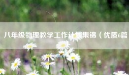 八年级物理教学工作计划集锦（优质6篇）