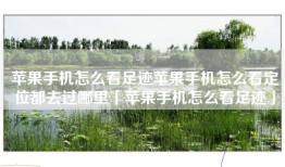 苹果手机怎么看足迹苹果手机怎么看定位都去过哪里「苹果手机怎么看足迹」
