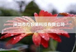 深圳市方伯第科技有限公司