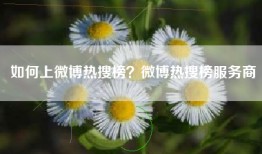 如何上微博热搜榜？微博热搜榜服务商