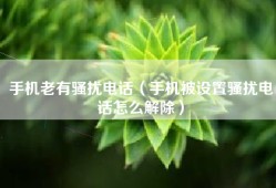 手机老有骚扰电话（手机被设置骚扰电话怎么解除）
