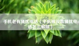 手机老有骚扰电话（手机被设置骚扰电话怎么解除）