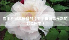 看手机屏幕是斜的（看手机屏幕是斜的怎么回事）