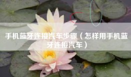 手机蓝牙连接汽车步骤（怎样用手机蓝牙连接汽车）