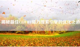 揭秘最佳Cili8 BT磁力搜索引擎的优化之道