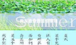 骨灰盒安葬注意事项