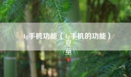 4g手机功能（4g手机的功能）