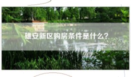 雄安新区购房条件是什么？