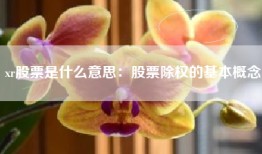 xr股票是什么意思：股票除权的基本概念