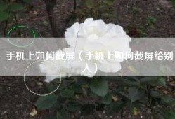 手机上如何截屏（手机上如何截屏给别人）