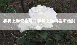 手机上如何截屏（手机上如何截屏给别人）