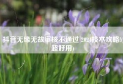 抖音无缘无故审核不通过 2024技术攻略!(超好用)