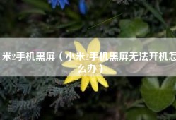 米2手机黑屏（小米2手机黑屏无法开机怎么办）