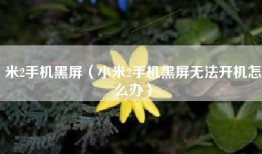米2手机黑屏（小米2手机黑屏无法开机怎么办）