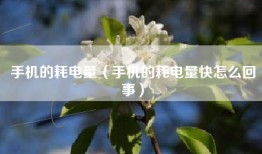 手机的耗电量（手机的耗电量快怎么回事）