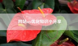 网站seo优化知识小分享