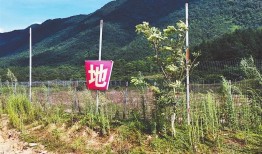 猎获有奖 受损有赔 修水县控野猪危害有“新招”