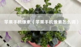 苹果手机像素（苹果手机像素怎么调）