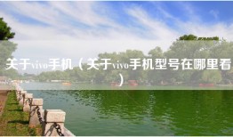 关于vivo手机（关于vivo手机型号在哪里看）