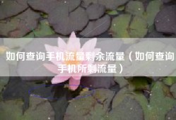 如何查询手机流量剩余流量（如何查询手机所剩流量）