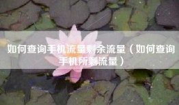 如何查询手机流量剩余流量（如何查询手机所剩流量）