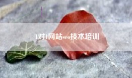 1对1网站seo技术培训