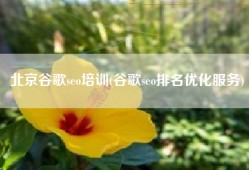 北京谷歌seo培训(谷歌seo排名优化服务)