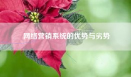 网络营销系统的优势与劣势