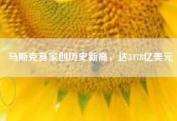 马斯克身家创历史新高，达3478亿美元
