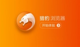 【猎豹浏览器(猎豹安全浏览器)】猎豹浏览器手机版「【猎豹浏览器(猎豹安全浏览器)】」