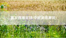 赛况直播足球(中越足球赛况)