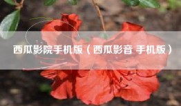 西瓜影院手机版（西瓜影音 手机版）