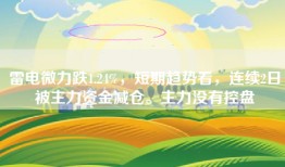 雷电微力跌1.24%，短期趋势看，连续2日被主力资金减仓。主力没有控盘