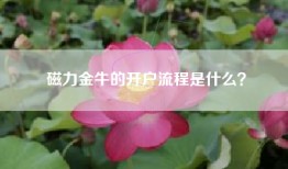 磁力金牛的开户流程是什么？