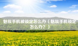 魅族手机被锁定怎么办（魅族手机锁定怎么办？）