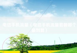 电信手机流量（电信手机流量套餐哪个最划算）