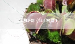 手机39网（39手机网）